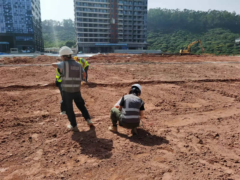 案例展示